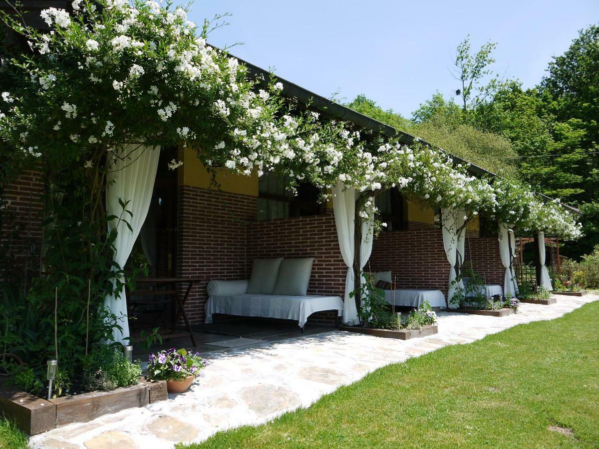 Apartamentos Rurales Rincon De San Martin Grazanes 외부 사진